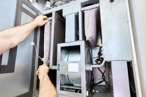 Gallery Beck Indoor 1769790750 Jpg