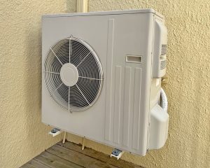 Gallery Beckham 2 1768202331 Jpg